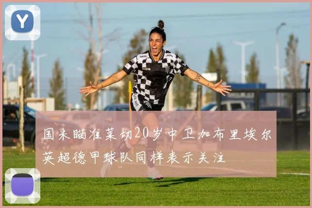 国米瞄准莱切20岁中卫加布里埃尔英超德甲球队同样表示关注