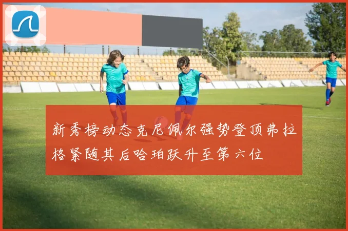 新秀榜动态克尼佩尔强势登顶弗拉格紧随其后哈珀跃升至第六位