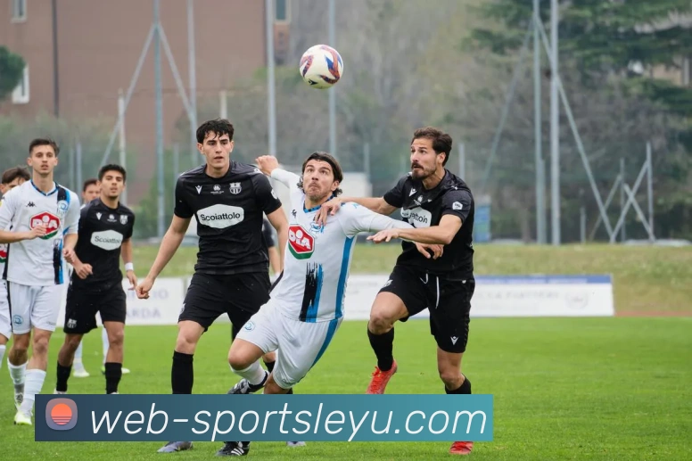 乐鱼体育平台生态图